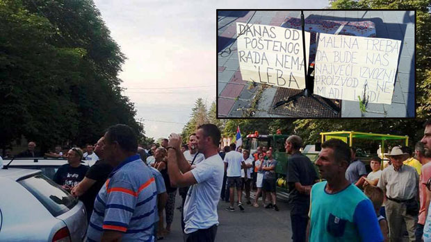 ПРОТЕСТ МАЛИНАРА ИЗ ВОЈВОДИНЕ: Без више цене нема ни бербе!